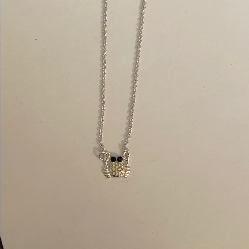 Icon silver crab necklace